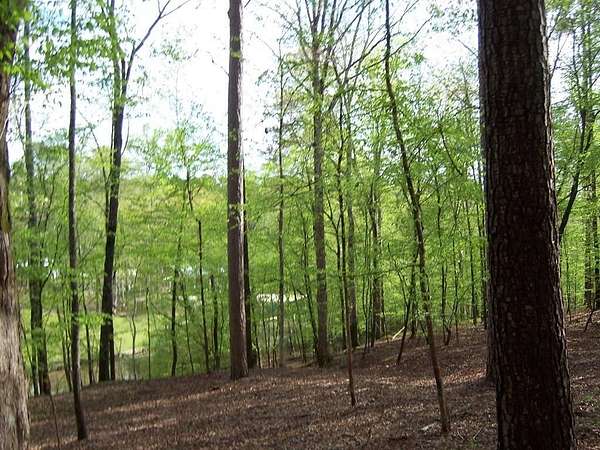 1 Acre of Residential Land for Sale in Milledgeville, Georgia