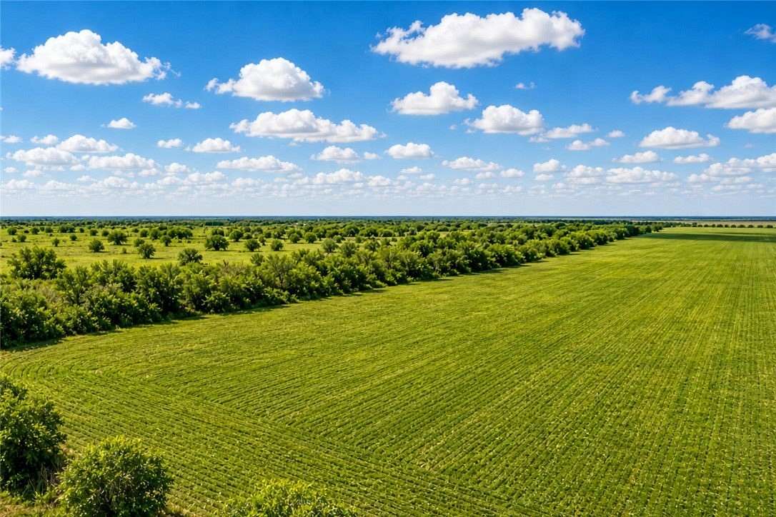 10 Acres of Recreational Land for Sale in Robstown, Texas