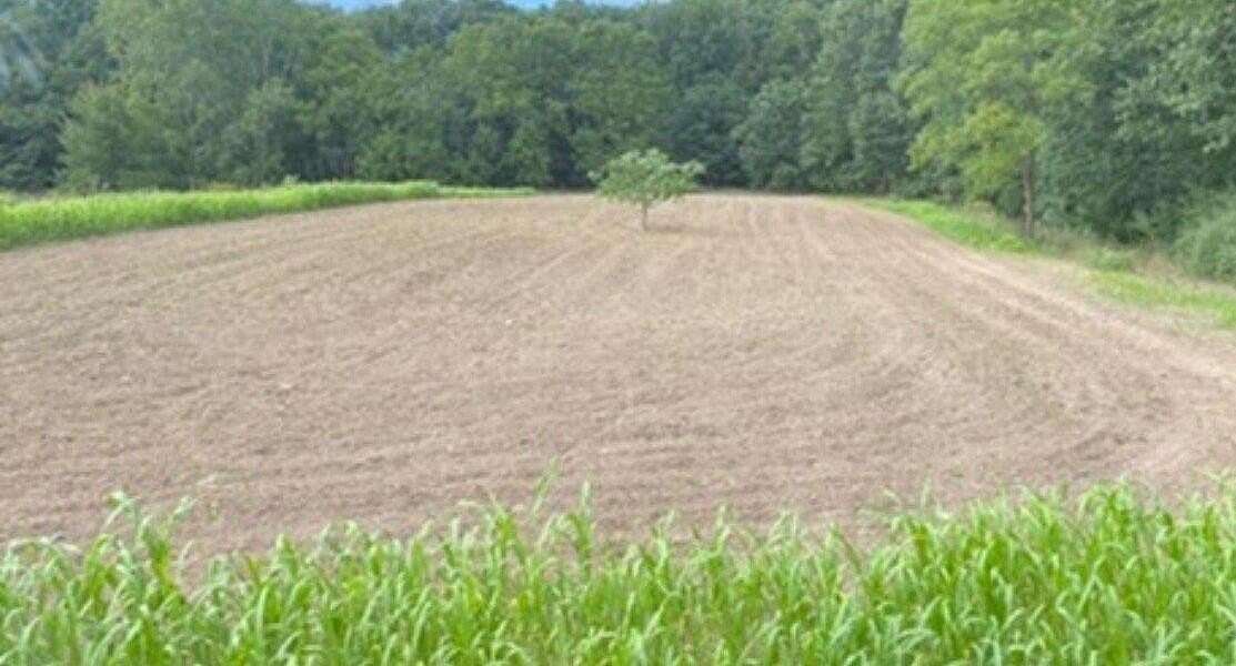 19.3 Acres of Land for Sale in Manitou Beach, Michigan