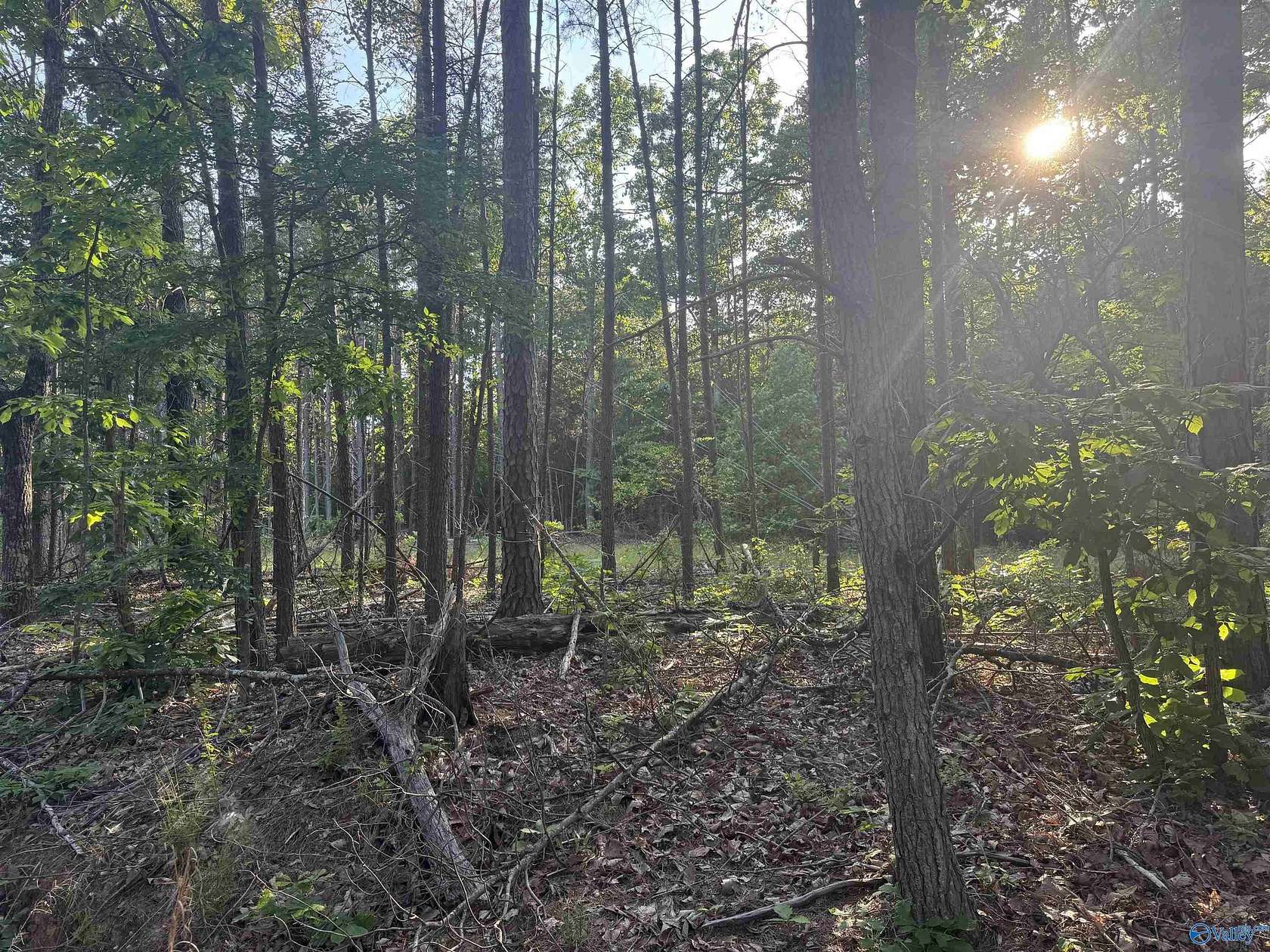 10 Acres of Residential Land for Sale in Cherokee, Alabama