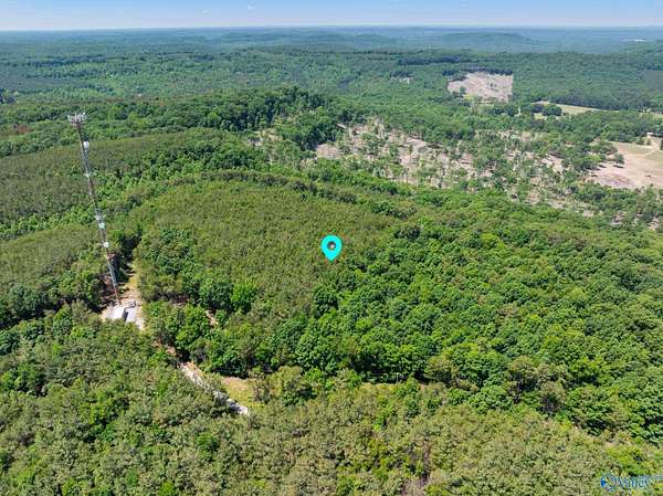 10 Acres of Residential Land for Sale in Cherokee, Alabama