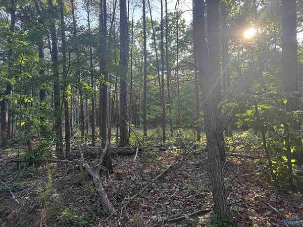 10 Acres of Residential Land for Sale in Cherokee, Alabama
