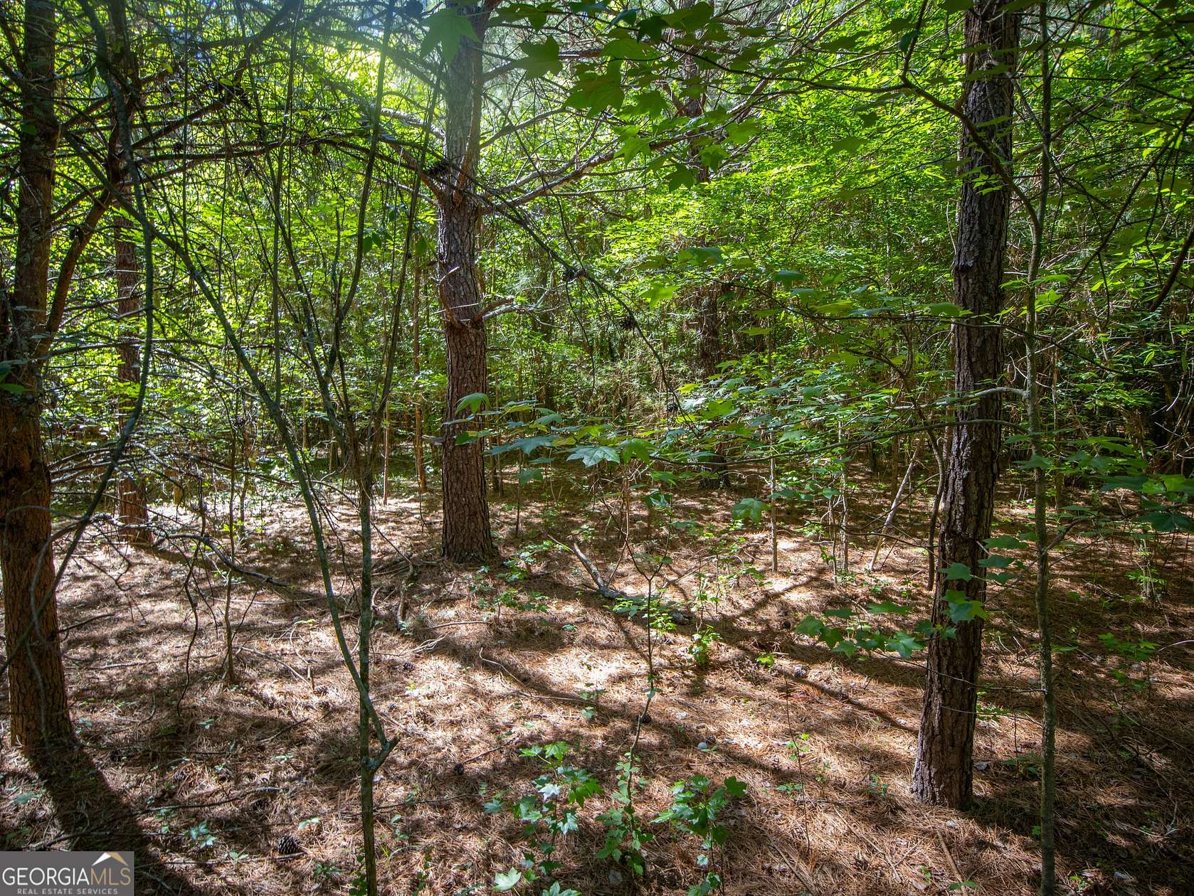 10.5 Acres of Recreational Land for Sale in LaFayette, Georgia