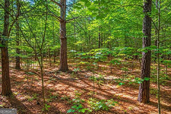 5.5 Acres of Land for Sale in LaFayette, Georgia