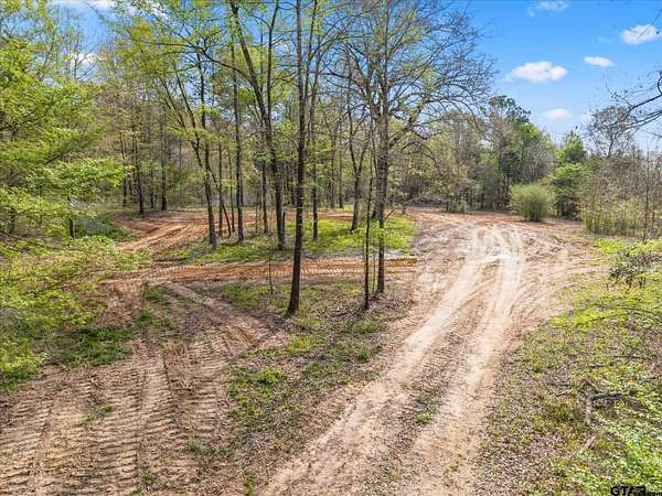 3.5 Acres of Residential Land for Sale in Pittsburg, Texas