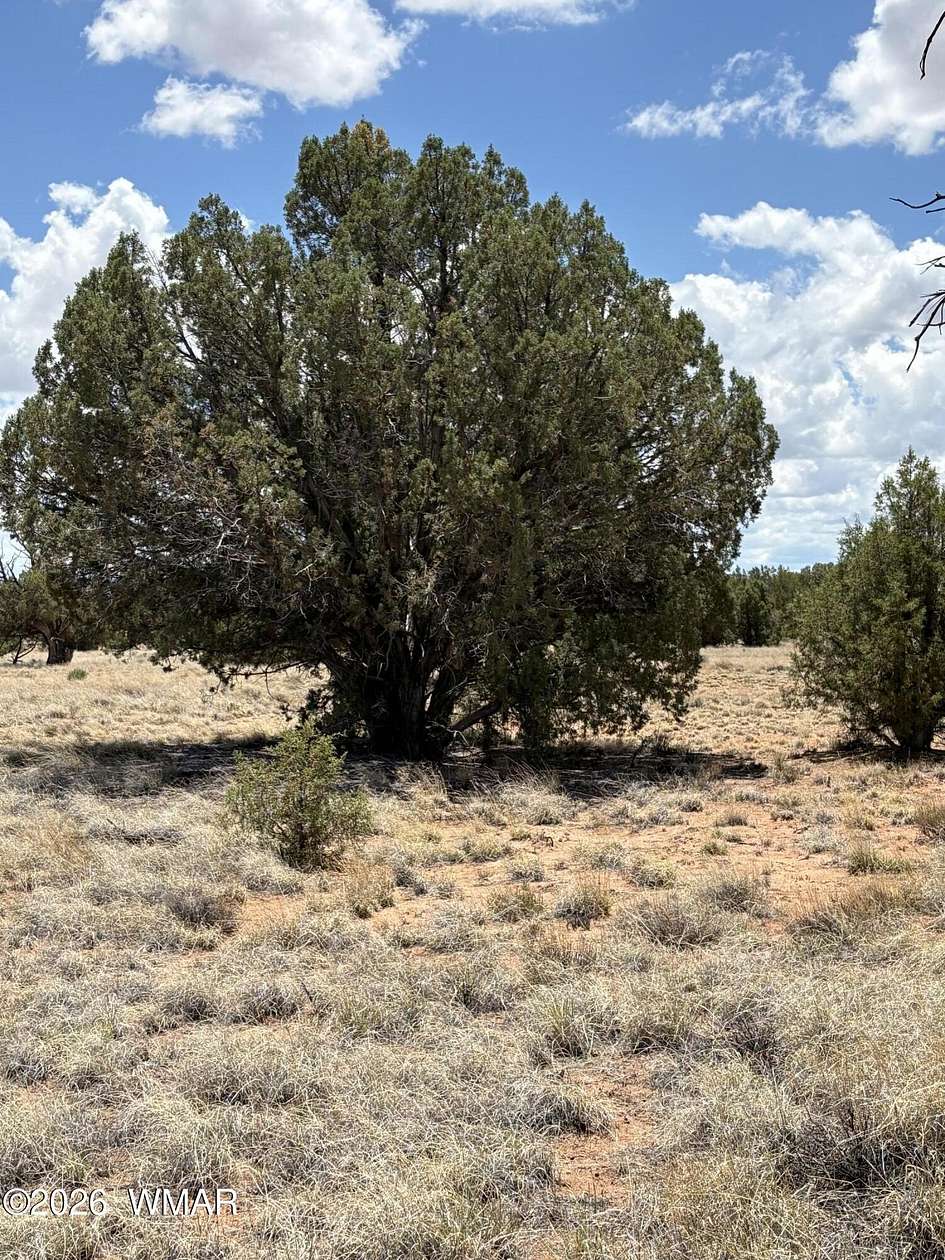 1 Acre of Residential Land for Sale in Concho, Arizona