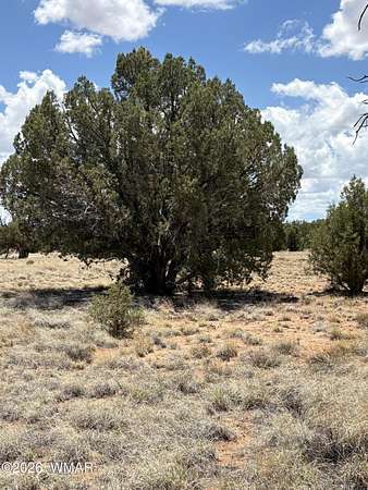1 Acre of Residential Land for Sale in Concho, Arizona