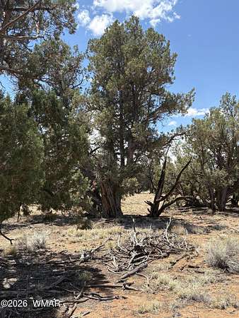 1 Acre of Residential Land for Sale in Concho, Arizona
