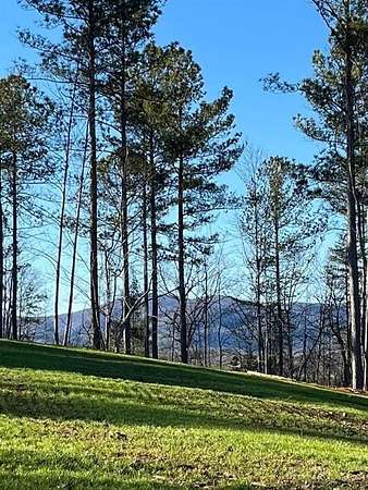40 Acres of Land for Sale in Dahlonega, Georgia