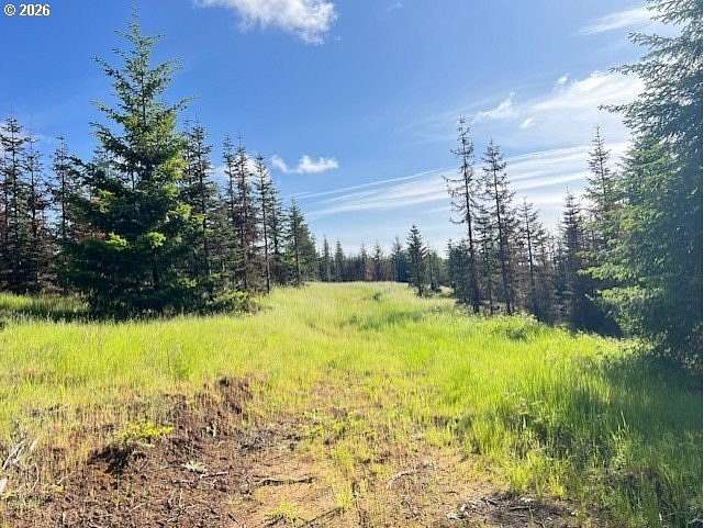 82.5 Acres of Land for Sale in Banks, Oregon