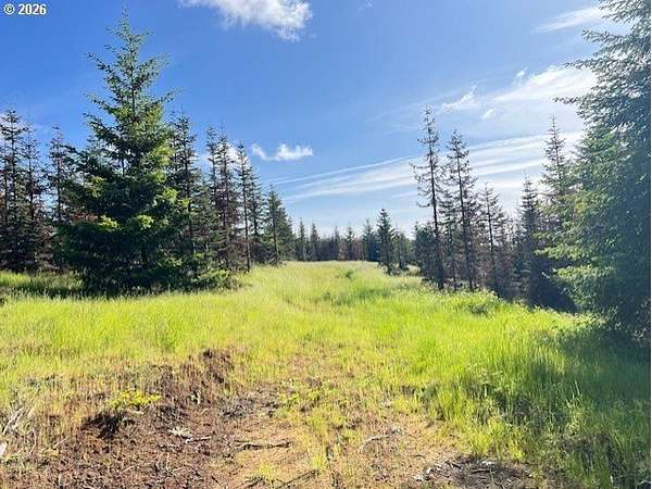 82.5 Acres of Land for Sale in Banks, Oregon