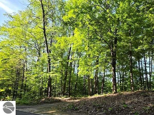0.59 Acres of Residential Land for Sale in Bellaire, Michigan