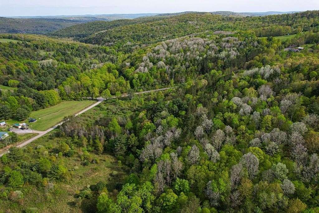45.4 Acres of Recreational & Residential Land for Sale in Waverly, New York