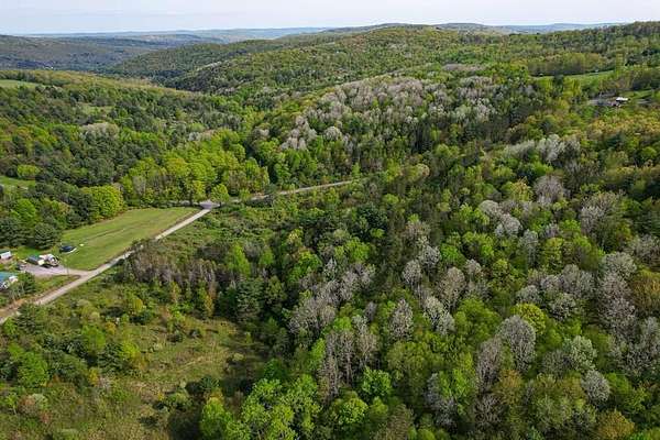 45.4 Acres of Recreational & Residential Land for Sale in Waverly, New York