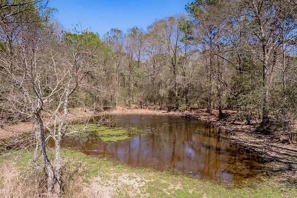 20 Acres of Agricultural & Residential Land for Sale in Groveton, Texas