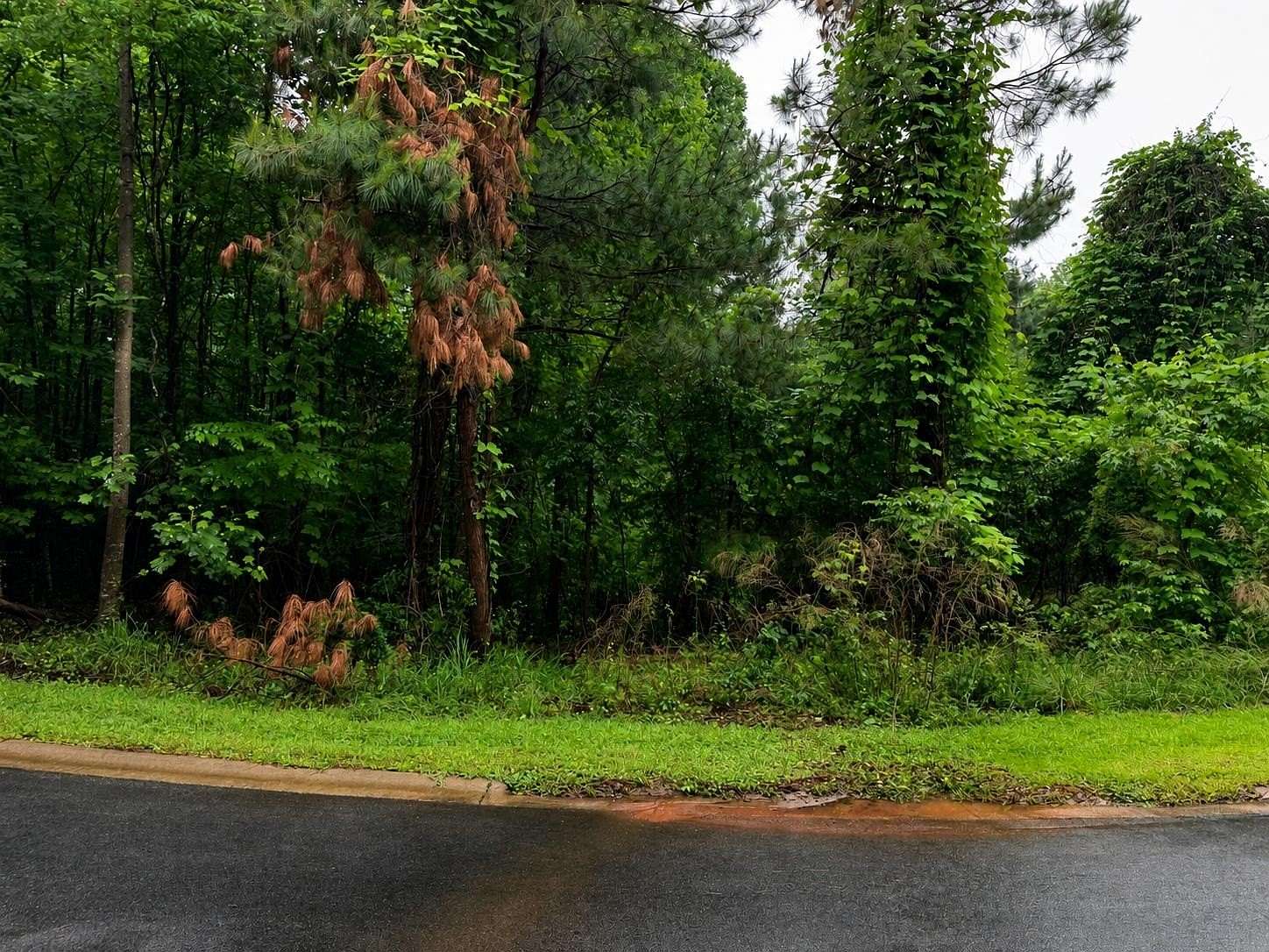 0.56 Acres of Residential Land for Sale in West Union, South Carolina