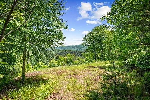 3.17 Acres of Land for Sale in Blue Ridge, Georgia