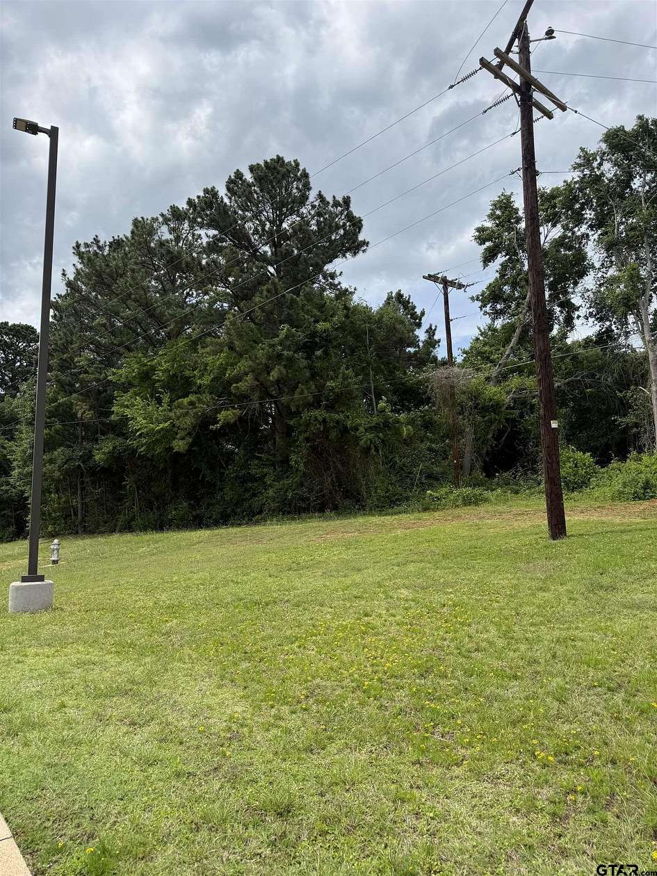 0.25 Acres of Land for Sale in Palestine, Texas