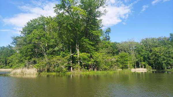 3.6 Acres of Residential Land for Sale in Decatur, Tennessee