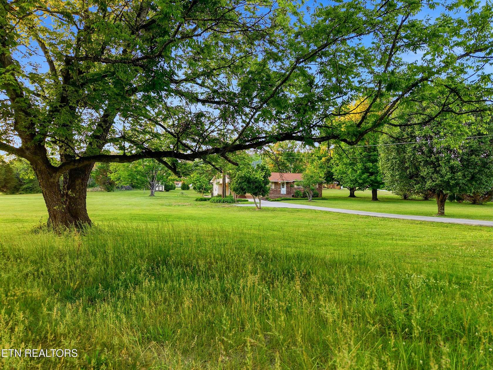 1.65 Acres of Land with Home for Sale in Blaine, Tennessee