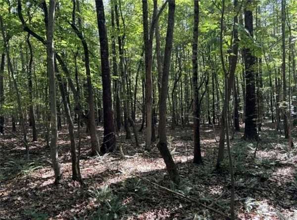 Residential Land for Sale in Danville, Virginia