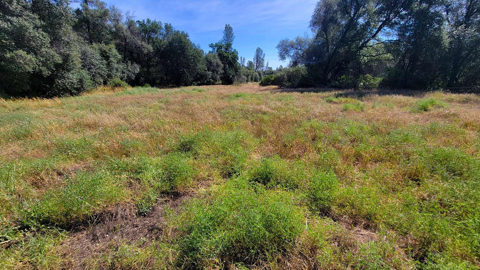 5 Acres of Residential Land for Sale in Cottonwood, California