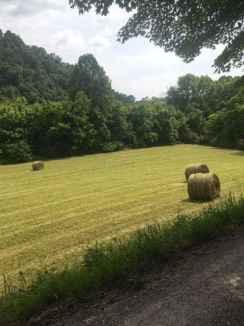 9.66 Acres of Land for Sale in Tazewell, Tennessee