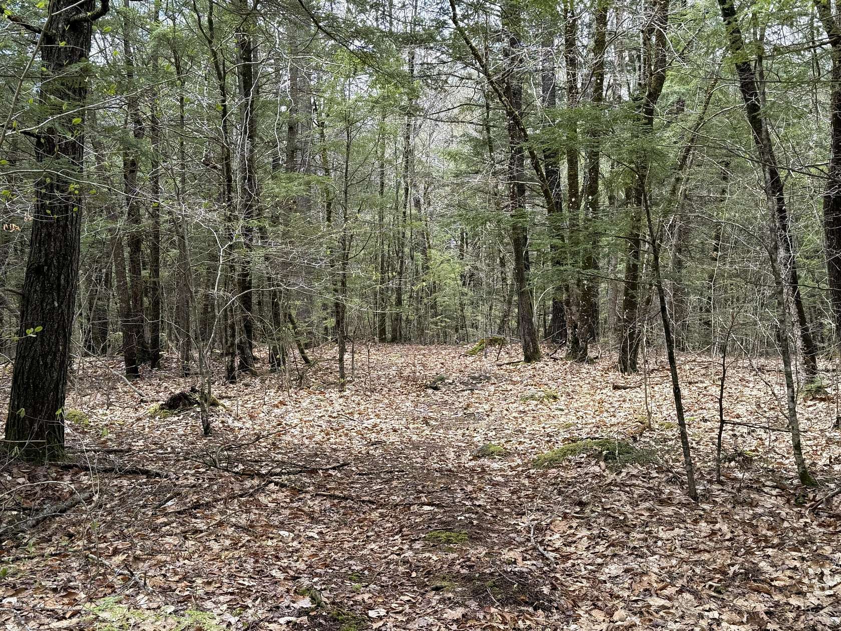 4.49 Acres of Residential Land for Sale in Hollis Town, Maine