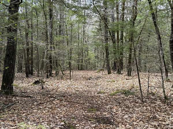 4.49 Acres of Residential Land for Sale in Hollis Town, Maine