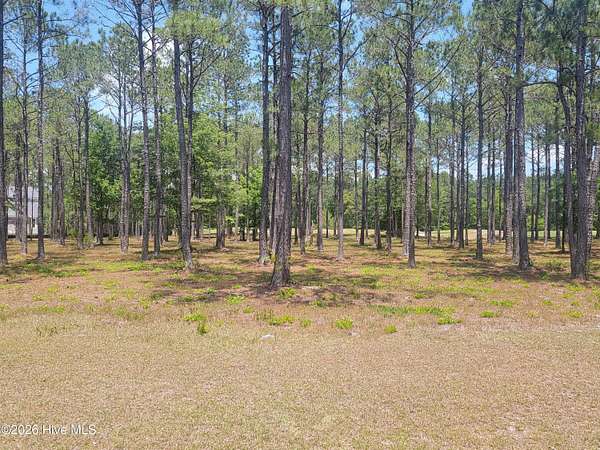 0.52 Acres of Residential Land for Sale in Ocean Isle Beach, North Carolina