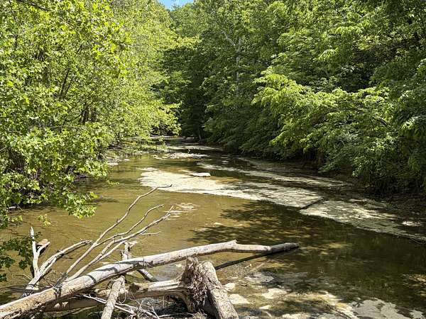 41 Acres of Land for Sale in Nancy, Kentucky