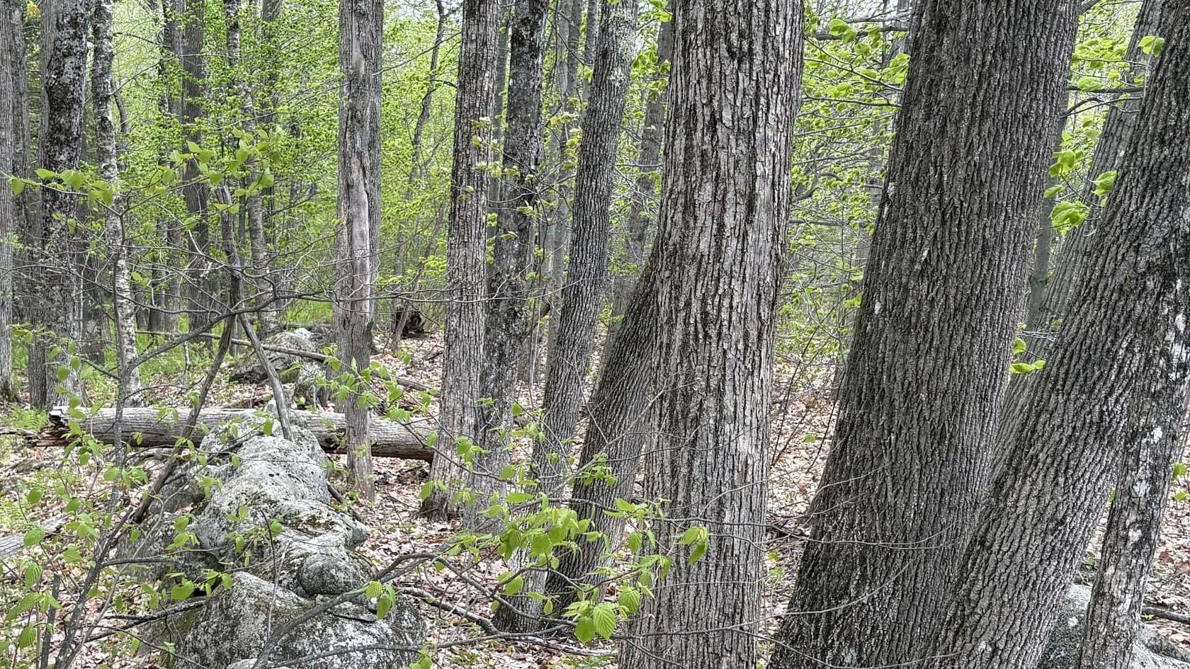 5.14 Acres of Residential Land for Sale in Vienna, Maine