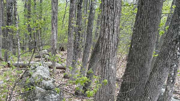 5.14 Acres of Land for Sale in Vienna, Maine