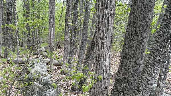 5.14 Acres of Residential Land for Sale in Vienna, Maine