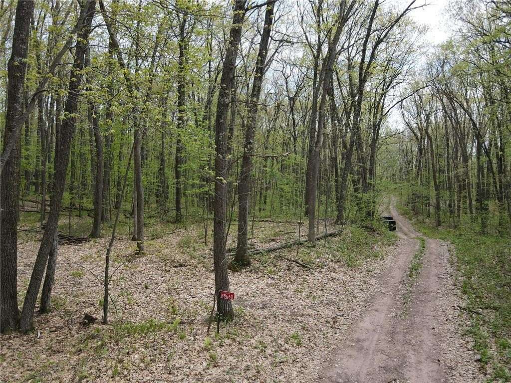 5 Acres of Land for Sale in Trego Town, Wisconsin