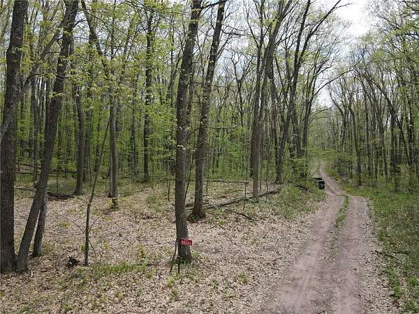 5 Acres of Land for Sale in Trego Town, Wisconsin