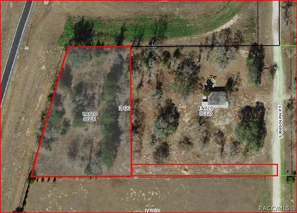 1 Acre of Land for Sale in Homosassa, Florida