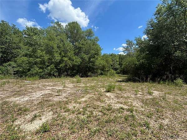 0.23 Acres of Residential Land for Sale in Inverness, Florida