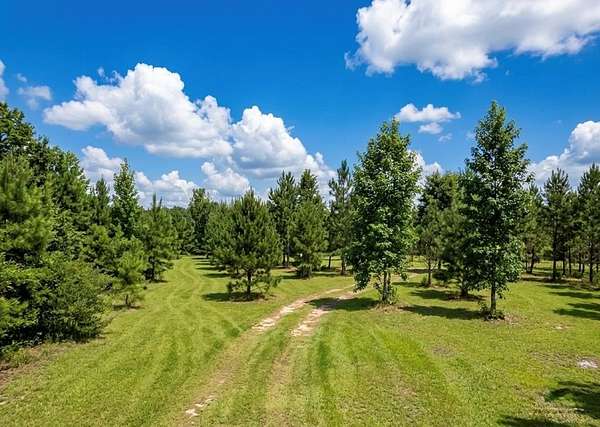 16.3 Acres of Land for Sale in Valdosta, Georgia