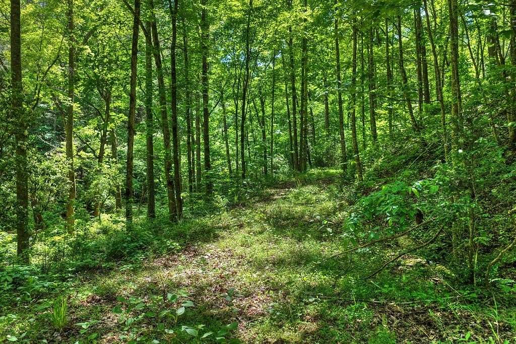 1.6 Acres of Residential Land for Sale in Talking Rock, Georgia