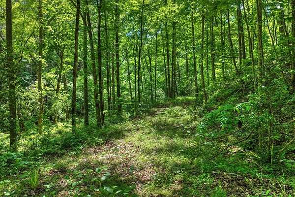 1.6 Acres of Residential Land for Sale in Talking Rock, Georgia