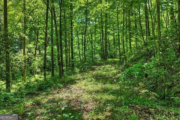 1.6 Acres of Residential Land for Sale in Talking Rock, Georgia
