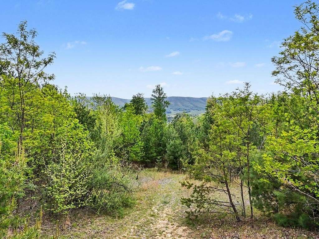 131 Acres of Recreational Land for Sale in Bland, Virginia