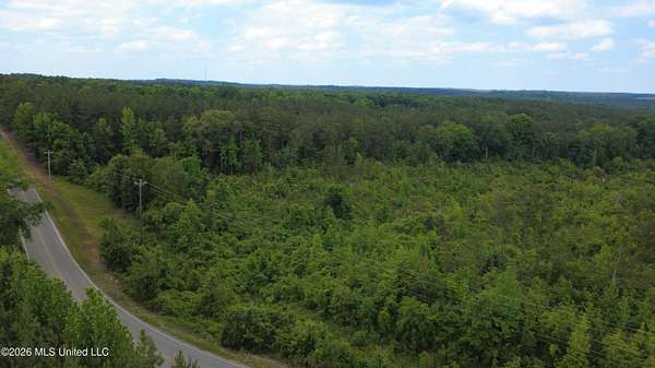 19 Acres of Recreational & Residential Land for Sale in Coffeeville, Mississippi