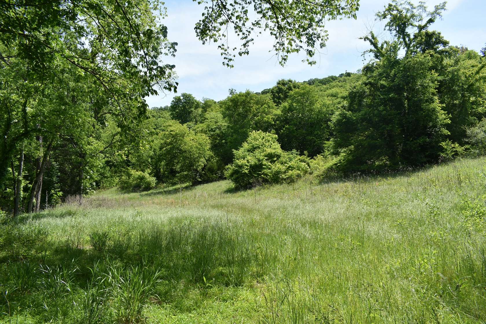5.78 Acres of Residential Land for Sale in Gainesboro, Tennessee