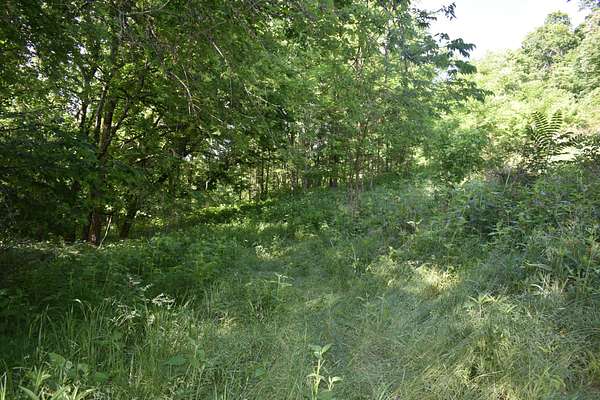 7.29 Acres of Residential Land for Sale in Gainesboro, Tennessee