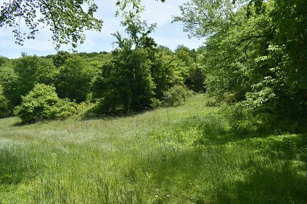 13 Acres of Land for Sale in Gainesboro, Tennessee