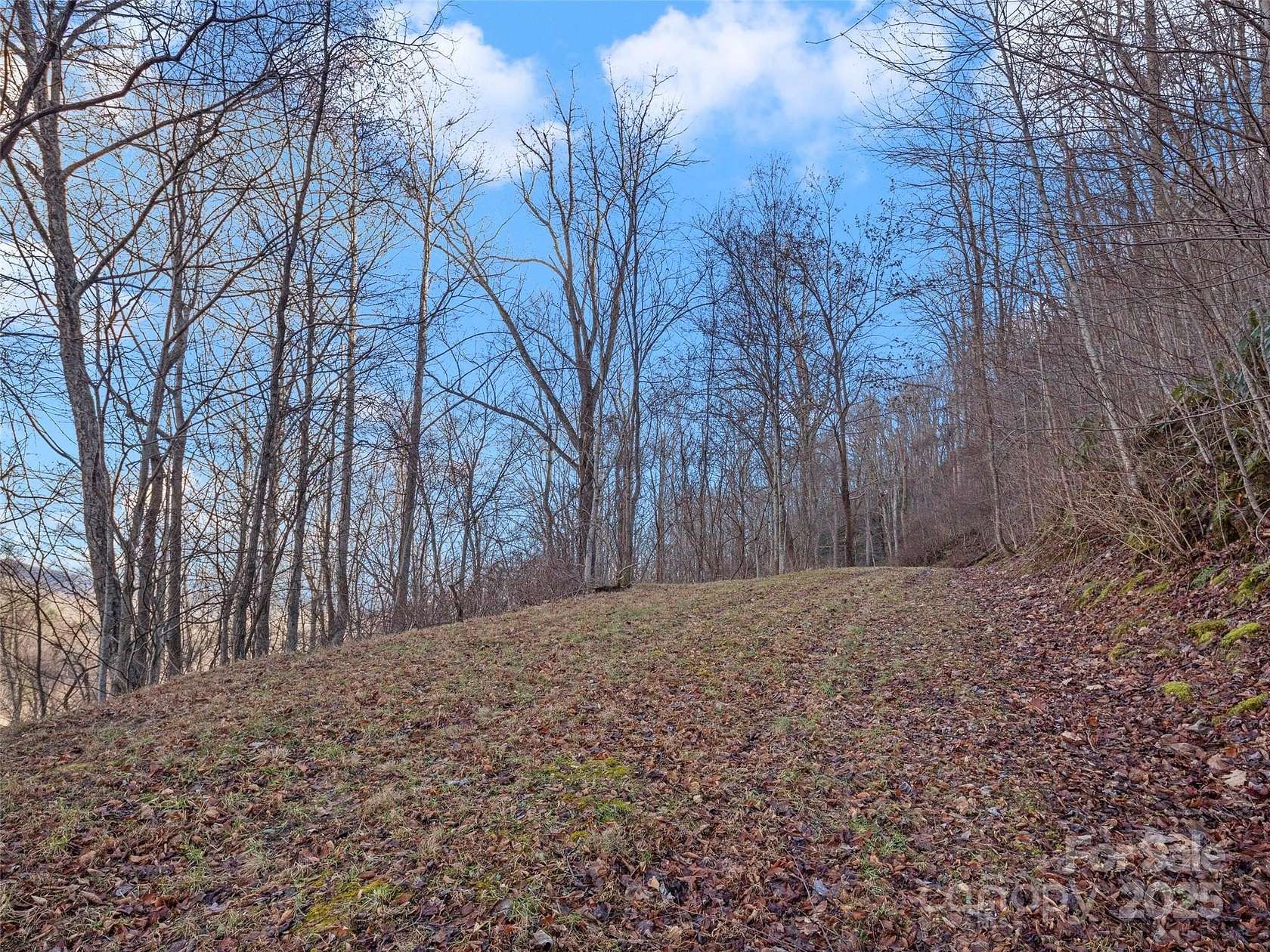 2.44 Acres of Residential Land for Sale in Leicester, North Carolina