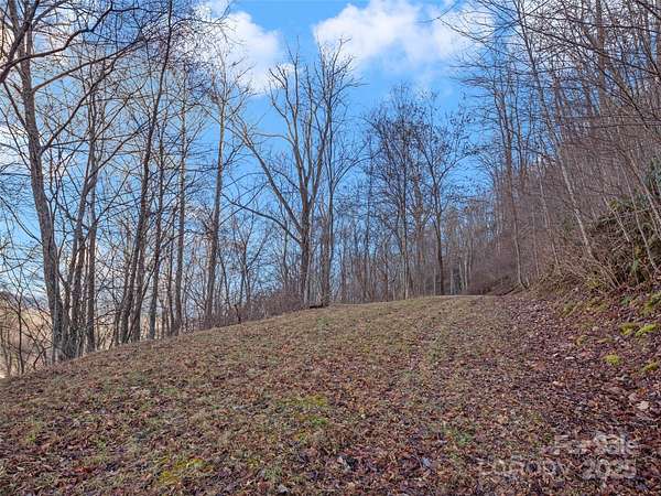 2.44 Acres of Residential Land for Sale in Leicester, North Carolina