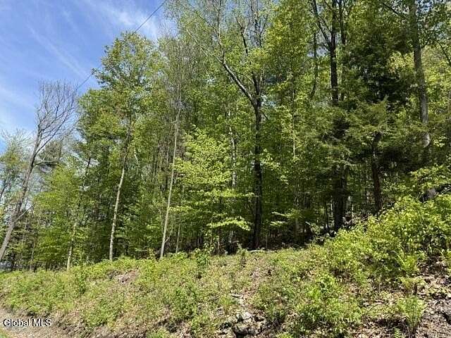 30 Acres of Land for Sale in Petersburgh Town, New York